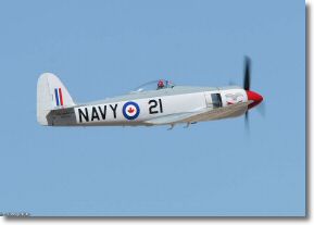 ftIMG_0466 Reno 2007.jpg